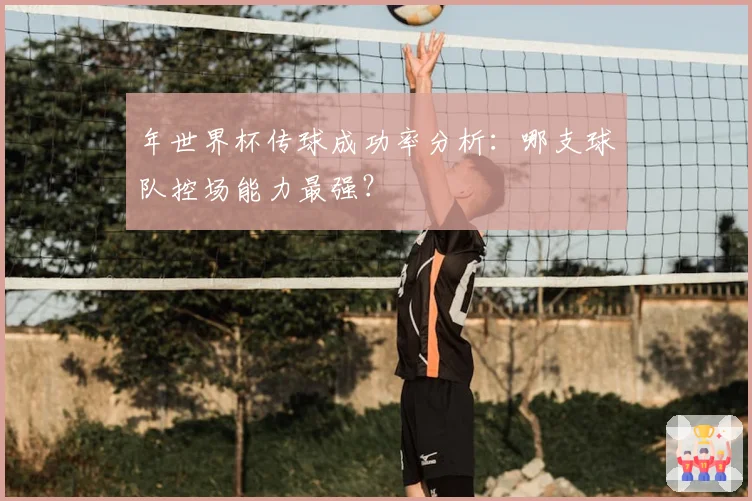 年世界杯传球成功率分析：哪支球队控场能力最强？