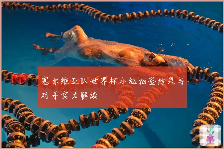 塞尔维亚队世界杯小组抽签结果与对手实力解读